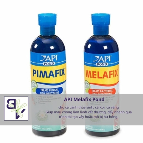 API Melafix Pond thuốc chữa bệnh cho cá cảnh thủy sinh, cá Koi, cá vàng