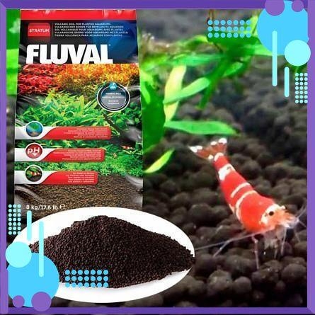 Phân nền Fluval cao cấp cho bể thủy sinh