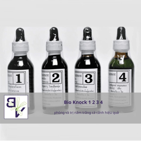 Bio Knock 1 2 3 4 - phòng và trị nấm trắng cá cảnh hiệu quả