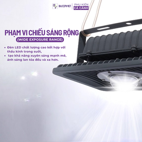 Đèn rọi chống nước Mayin cho hồ koi, phi tần, cá vàng - LED ngoài trời, bền sáng, đỏ cá không đỏ nước