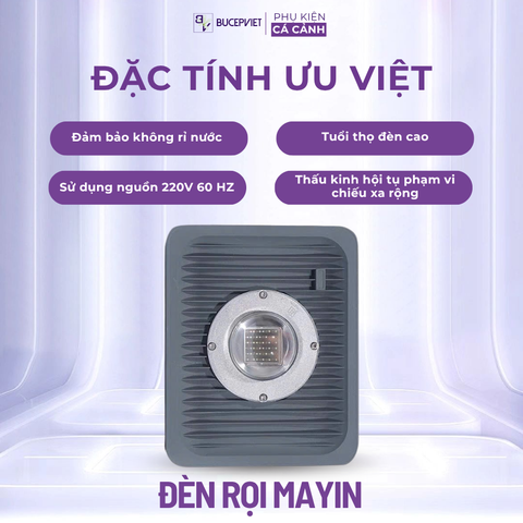 Đèn rọi chống nước Mayin cho hồ koi, phi tần, cá vàng - LED ngoài trời, bền sáng, đỏ cá không đỏ nước