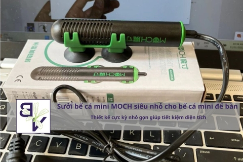 Sưởi bể cá mini MOCH siêu nhỏ cho bể cá mini để bàn