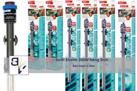 Sưởi Eheim 300W hàng Đức – Bảo hành 3 năm
