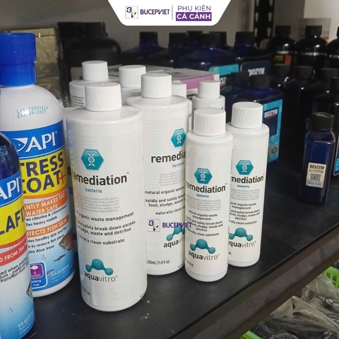 Vi sinh Seachem Remediation cao cấp 150ml/350ml- Siêu vi sinh cho hồ cá biển và hồ cá nước ngọt, giúp khởi tạo và bình ổn hồ thủy sinh