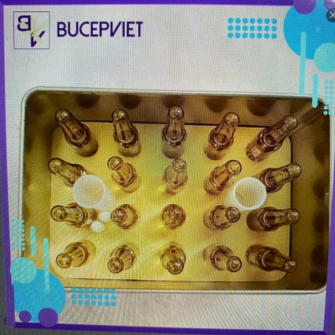 Hộp 5 ống 303 - Vi sinh sống cho bể cá, bể thuỷ sinh