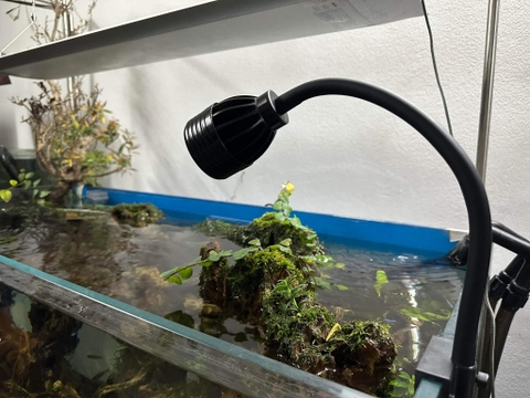Đèn rọi KZJ 15W-  đèn LED bể cá tiêu cự có thể điều chỉnh, nhiều chế độ màu