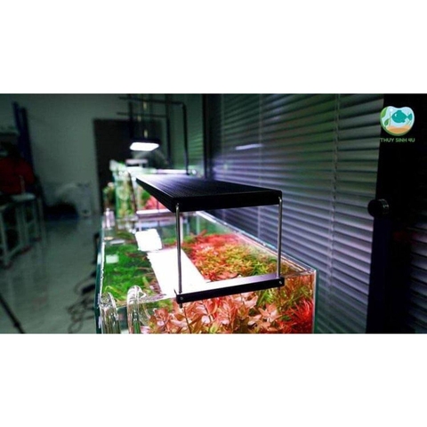 Đèn Chihiros WRGB 2 Pro - Chip LED siêu sáng đánh màu cá đẹp