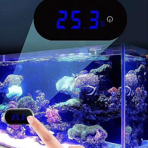 Nhiệt kế điện tử Marine dán thành bể cá - Màn hình LCD, đo nhiệt độ chính xác ±0.1°C, tiết kiệm pin cho hồ thủy sinh