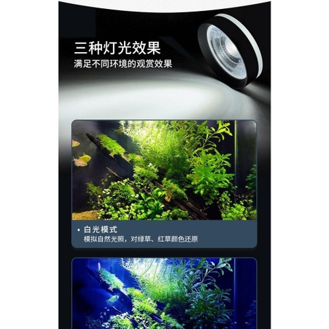 Đèn LED Coco FF Series 3 chế độ màu - Đèn kẹp bể thủy sinh, bể bán cạn, ánh sáng trắng vàng tự nhiên