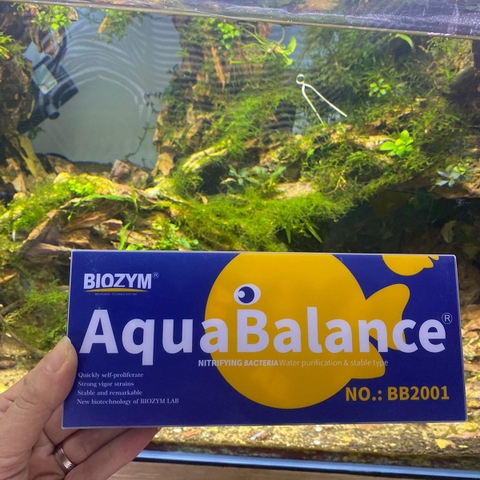 Vi sinh cao cấp Biozym AquaBalance Nitrifying Bacteria- xử lý nước và chất thải trong bể