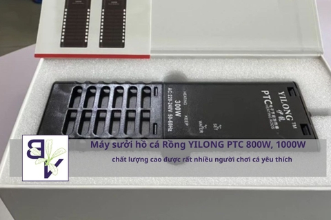 Máy sưởi hồ cá Rồng YILONG PTC 800W, 1000W