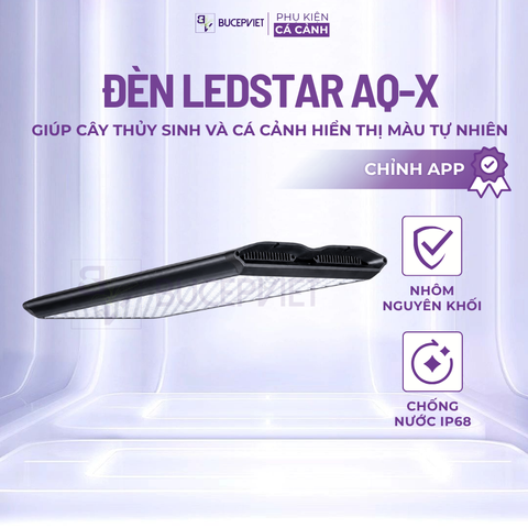 Đèn thủy sinh LedStar AQ-X 60 WRGB – LED WRGB Pro, Far Red 660nm, chống nước IP68, chỉnh APP, giúp cây lên màu đẹp