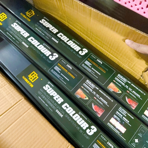 Đèn MAYIN Super Colour Thế Hệ 3 Ánh Sáng Nổi Bật Cá Rồng, Cá Vàng, Cá Chép Đủ Kích Thước