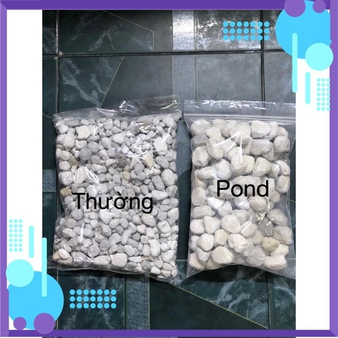 Thùng Nguyên 20LIT Matrix cho bể thủy sinh