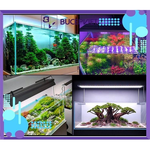 Đèn Week L Pro - LED RGB-UV cao cấp cho bể thủy sinh