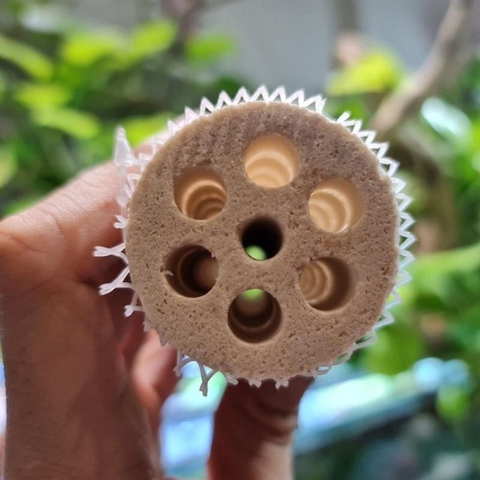 Sứ lọc củ sen Mountain Tree Lotus II 16x4cm - Vật liệu lọc cao cấp giúp bổ sung khoáng chất