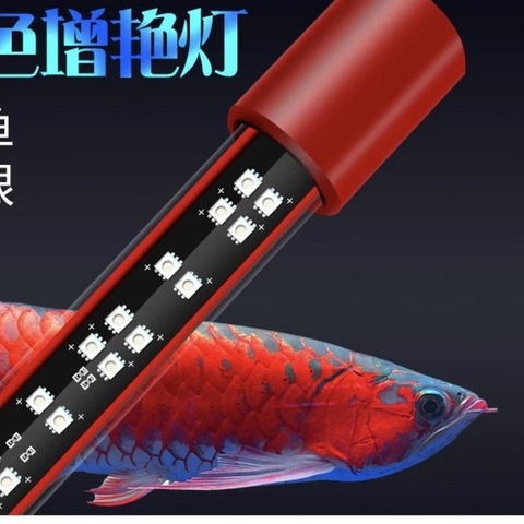 Đèn MAYIN Super Colour Thế Hệ 3 Ánh Sáng Nổi Bật Cá Rồng, Cá Vàng, Cá Chép Đủ Kích Thước