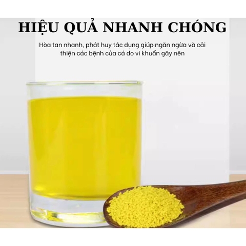 Dưỡng cá Tetra Nhật Bản chính hãng – Trị nấm, khử khuẩn, hỗ trợ cá khỏe mạnh cho bể cá