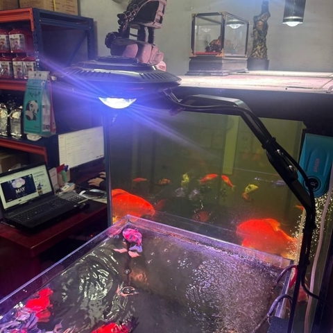 Đèn LED UFO Hyper – Điều Chỉnh Màu Qua App, Chiếu Sáng Bể Cá Cảnh Giúp Cá Lên Màu Đẹp, Nịnh Màu Tự Nhiên