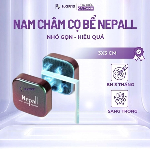 Nam châm lau kính Nepall 3x3x3cm - Nhỏ gọn hỗ trợ làm sạch rêu tảo bể cá, vệ sinh kính hồ thủy sinh tiện lợi