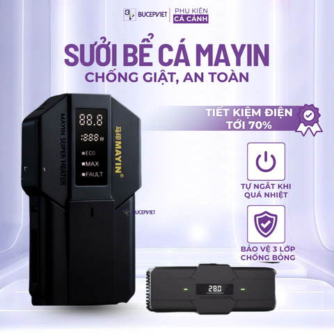 Sưởi Mayin Titan - Mẫu sưởi bế cá thủy sinh bền rẻ, nhiều công suất 300w - 600w - 1200w