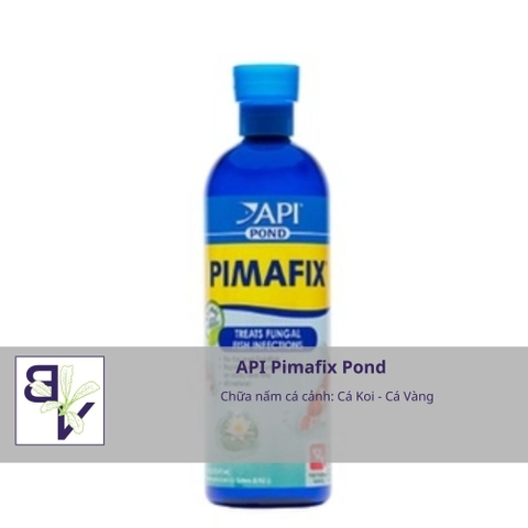 API Pimafix Pond chữa nấm cá cảnh cho bể thủy sinh, cá vàng, cá Koi