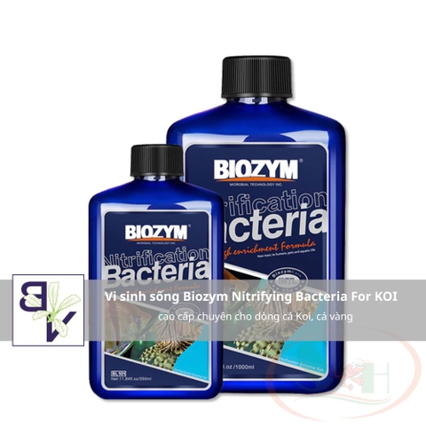 Vi sinh sống Biozym Nitrifying Bacteria For Koi cao cấp chuyên cho dòng cá Koi, cá vàng