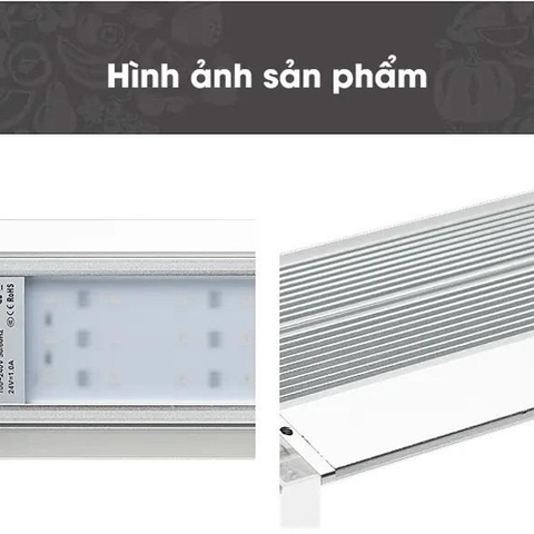 Đèn Week M Raptor PRO (M Pro Series)