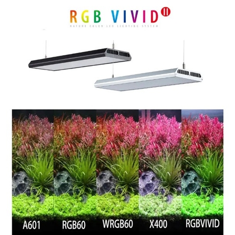 Đèn Led CHIHIROS RGB VIVID 2 Bản 10 năm  - Đèn Led Cao Cấp Cho Bể Cá Cảnh, Bể Thủy Sinh