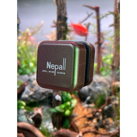 Nam châm lau kính Nepall 3x3x3cm - Nhỏ gọn hỗ trợ làm sạch rêu tảo bể cá, vệ sinh kính hồ thủy sinh tiện lợi