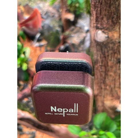 Nam châm lau kính Nepall 3x3x3cm - Nhỏ gọn hỗ trợ làm sạch rêu tảo bể cá, vệ sinh kính hồ thủy sinh tiện lợi