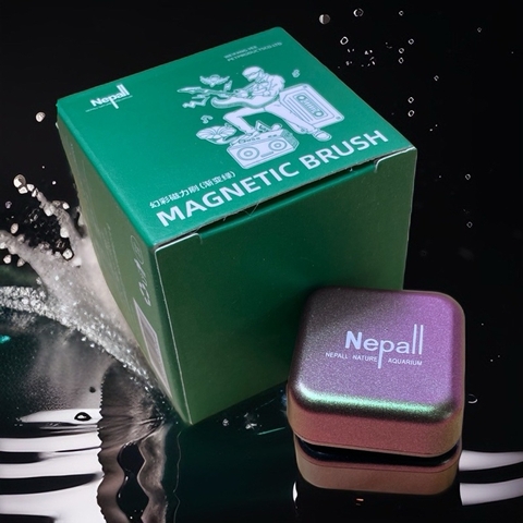Nam châm lau kính Nepall 3x3x3cm - Nhỏ gọn hỗ trợ làm sạch rêu tảo bể cá, vệ sinh kính hồ thủy sinh tiện lợi