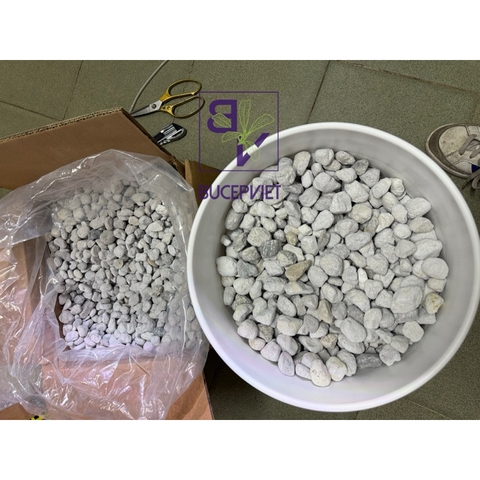 Vật Liệu Lọc CONTINUUM AQUATICS BACT-ROX  (Thùng 20L)