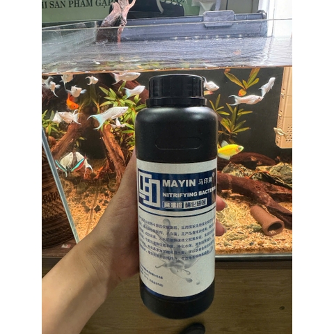 Vi sinh Mayin 500ml/900ml - Xử lý nước hồ cá, làm sạch nước, ổn định hệ vi sinh, giảm mùi hôi tanh an toàn cá tép