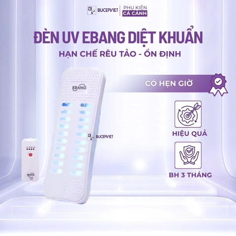 Đèn UV EBang 7W 9W 15W 20W Kèm Hẹn Giờ - Đèn UV Diệt Khuẩn, Rêu Tảo Hại Cao Cấp Cho Bể Cá