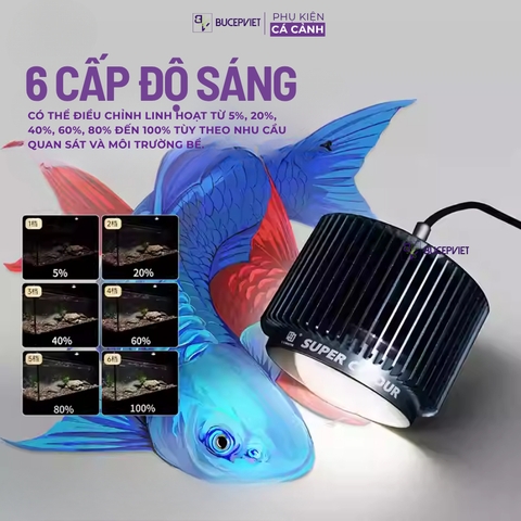 Đèn LON MAYIN 120w mẫu 2026 dành cho cá Phi Tần, cá Vàng, Mahseer ánh sáng Moonlight hẹn giờ thông minh 6 mức sáng