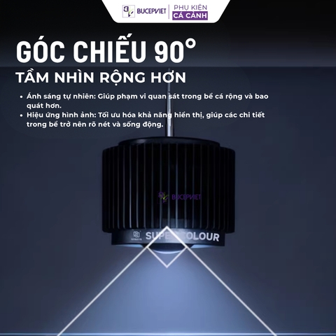 Đèn LON MAYIN 120w mẫu 2026 dành cho cá Phi Tần, cá Vàng, Mahseer ánh sáng Moonlight hẹn giờ thông minh 6 mức sáng