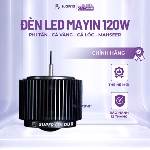 Đèn LON MAYIN 120w mẫu 2026 dành cho cá Phi Tần, cá Vàng, Mahseer ánh sáng Moonlight hẹn giờ thông minh 6 mức sáng