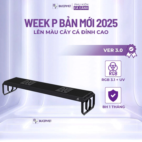 Đèn LED Week P Ver 3.0 P60/P90/P120 - RGB UV chỉnh App điện thoại, hỗ trợ lên màu cây cá hồ thủy sinh