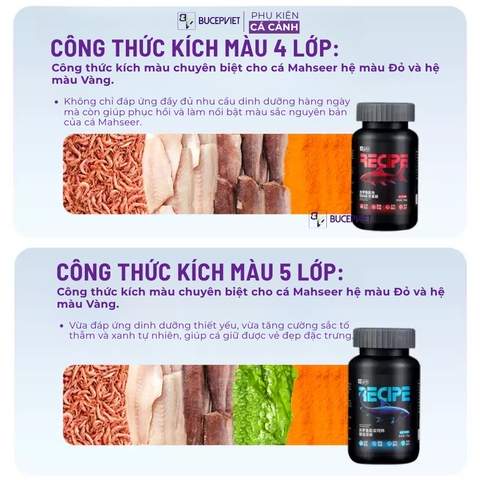 Cám cá bản địa Yee Recipe 300g hạt 2mm chính hãng - Hỗ trợ lên màu đỏ xanh, tăng size cá Blue Mahseer Pami