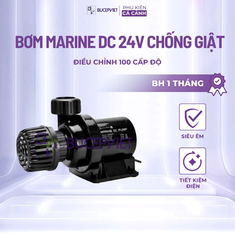 Máy bơm Marine DC 24V chống giật chỉnh 100 cấp độ – Bơm chìm/cạn siêu êm, tiết kiệm điện cho bể cá