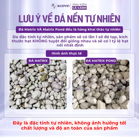 Thùng 20 lít Seachem Matrix Pond có tem Sicavi - Vật liệu lọc xử lý tạp chất, nuôi cấy vi sinh làm trong nước hồ cá koi thủy sinh