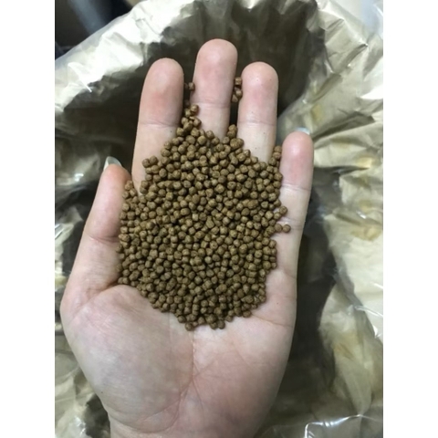 Saki Hikari Growth & Color - Tăng Body cho cá Koi, phi tần, sư tử, cá bướm - Protein 40%(Hạt nổi)