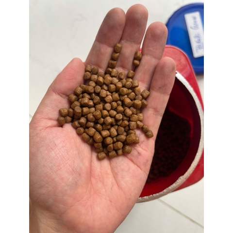 Saki Hikari Growth & Color - Tăng Body cho cá Koi, phi tần, sư tử, cá bướm - Protein 40%(Hạt nổi)