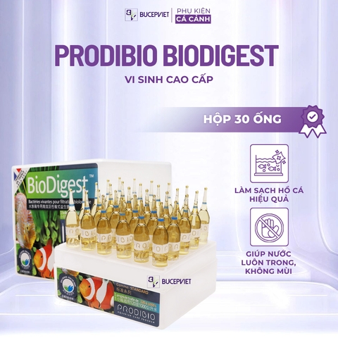 Vi sinh sống Prodibio BioDigest hộp nguyên 30 ống - Khởi tạo hệ vi sinh hồ cá, hỗ trợ xử lý NH3 NO2 NO3, làm trong nước hồ thủy sinh cá biển