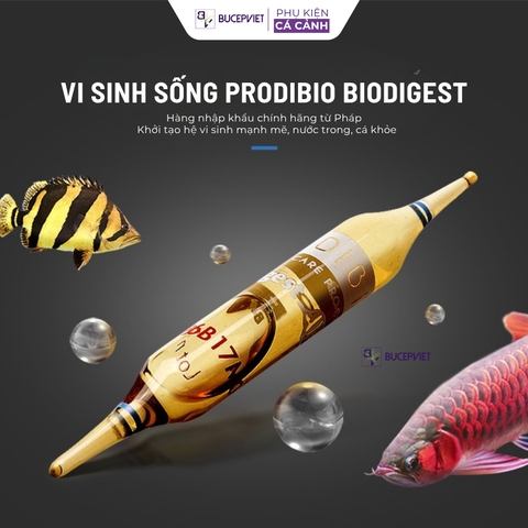 Vi sinh sống Prodibio BioDigest hộp nguyên 30 ống - Khởi tạo hệ vi sinh hồ cá, hỗ trợ xử lý NH3 NO2 NO3, làm trong nước hồ thủy sinh cá biển