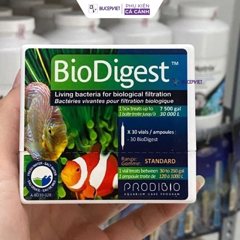 Vi sinh sống Prodibio BioDigest hộp nguyên 30 ống - Khởi tạo hệ vi sinh hồ cá, hỗ trợ xử lý NH3 NO2 NO3, làm trong nước hồ thủy sinh cá biển