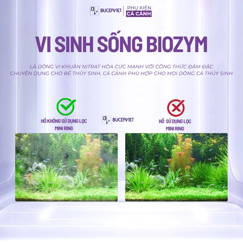 Vi sinh sống Biozym Nitrifying Bacteria 350ml/1000ml - Hỗ trợ làm trong nước, xử lý Amoniac NO2 NO3, ổn định hệ vi sinh hồ cá