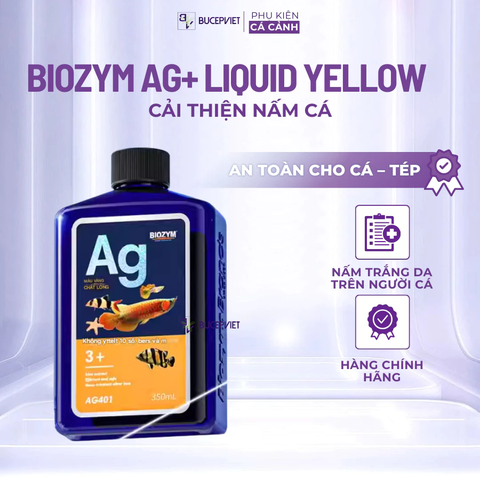 Dung dịch xử lý nấm cá Biozym Ag Liquid Yellow 350-1000ml - Hỗ trợ cải thiện nấm trắng, thối đuôi, giảm stress cá cảnh