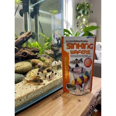 Thức ăn cá chuột Hikari Sinking Wafers 110g - Cám chìm cho cá Corydoras, cá tầng đáy, hỗ trợ tiêu hóa tốt, giàu dinh dưỡng